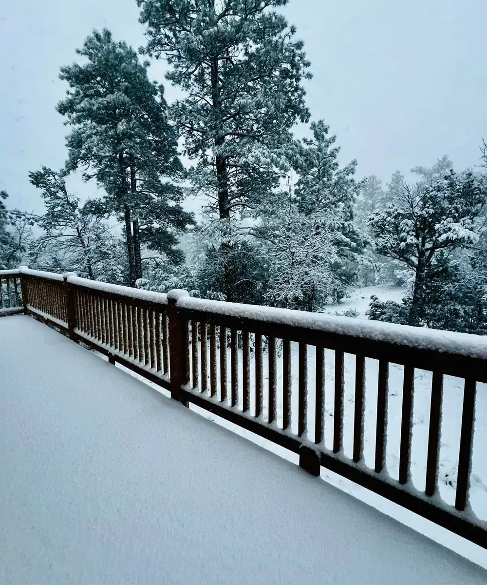 Snow covering a forest scene at Mogollon Ranch